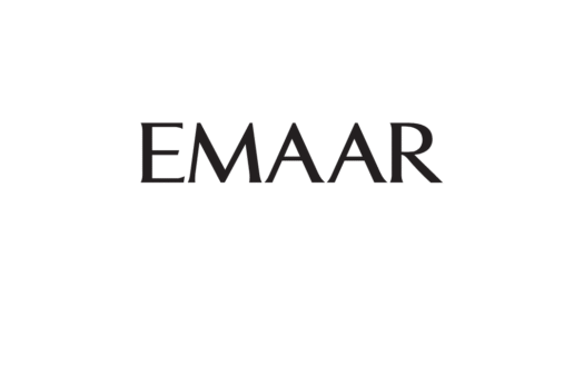 Developer Image